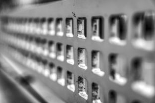 APP下载 LY Sports-高校运动损伤预防技术及应用研究进展,运动损伤与防治试课题答案