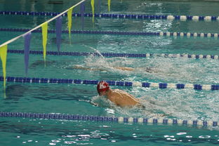 乐鱼棋牌官网-国际游泳精英赛中国队多人破纪录，国际游泳冠军系列赛